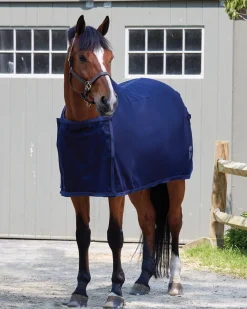 TEXT HORSE DS Awards Cooler Navy Clearance