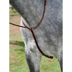HARMOHN KRAFT DS Deluxe Standing Martingale Hot