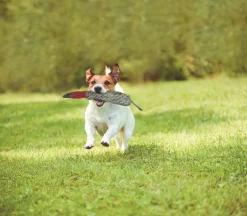 SHIRE HORSE DS Duck Dog Toy Green/Cream Sale