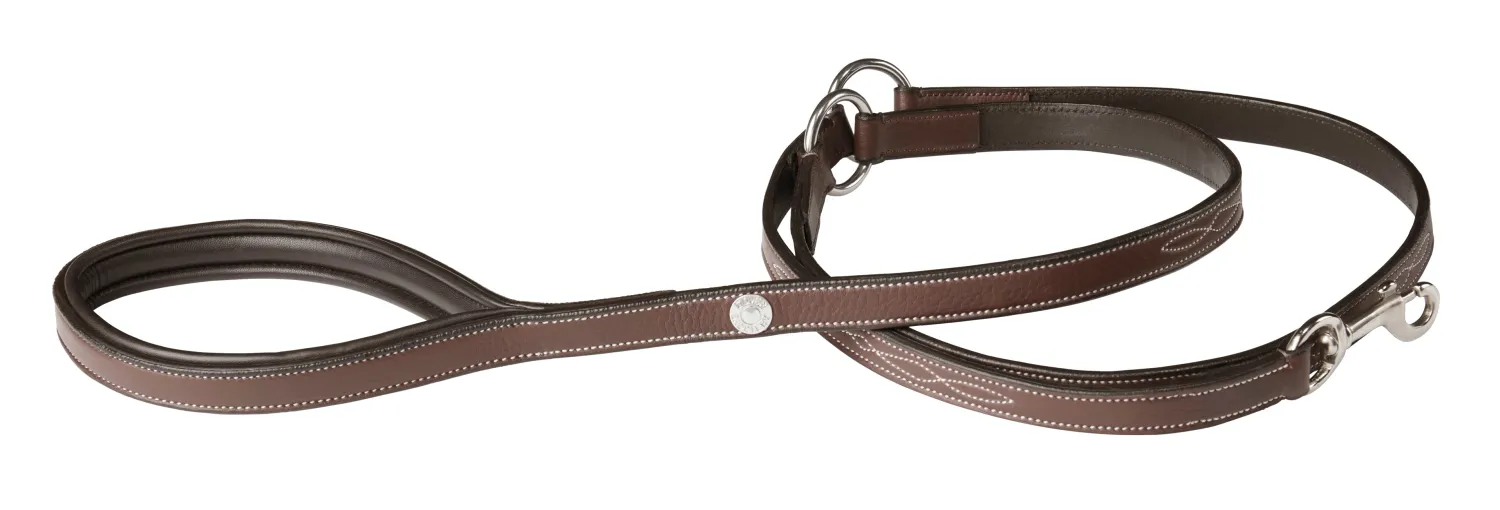 PUSHKAR INTL DS Fancy-Stitched Dog Leash Brown Clearance