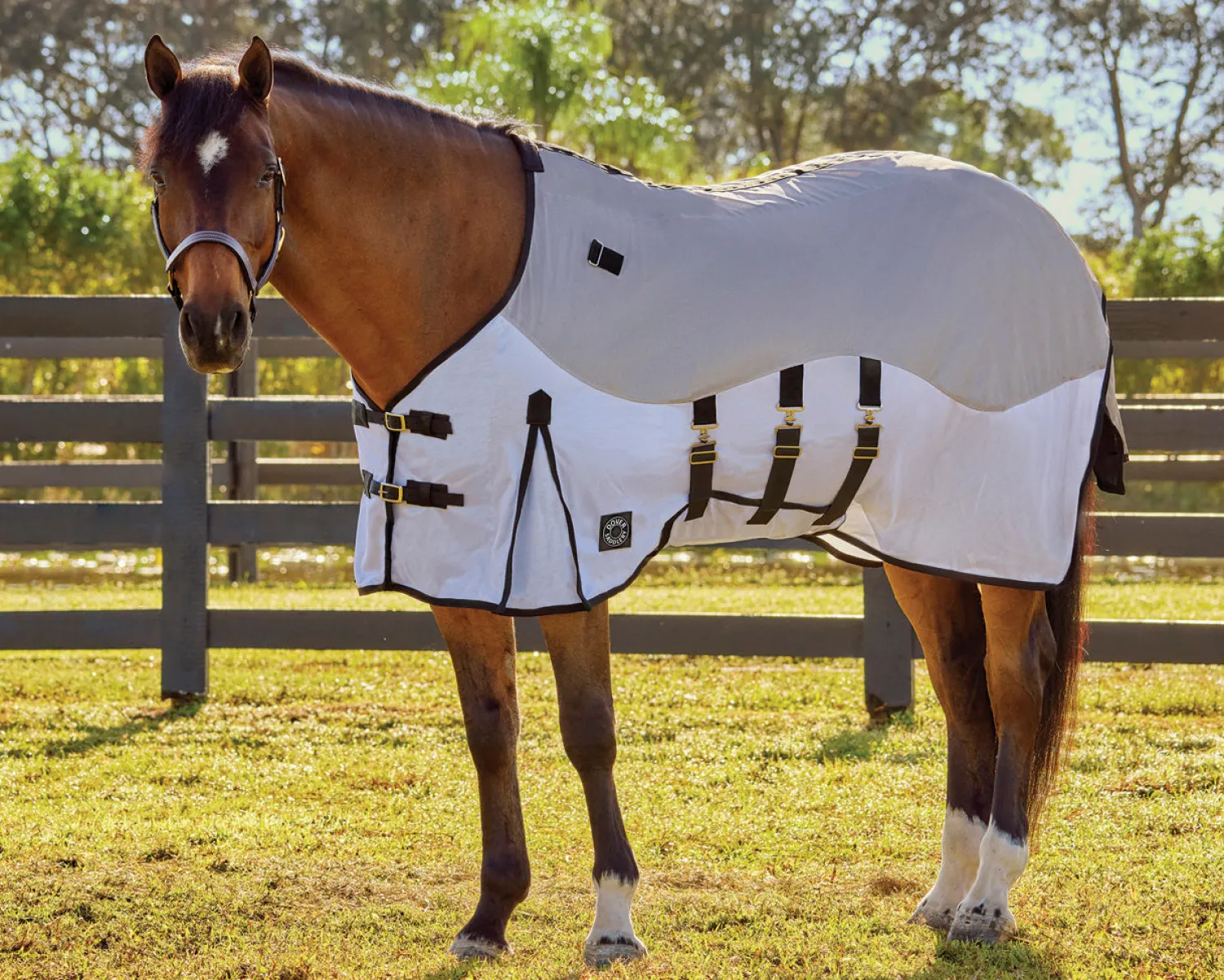 KARTIKEYA INTL DS Fly Combo Sheet Silver/White Discount