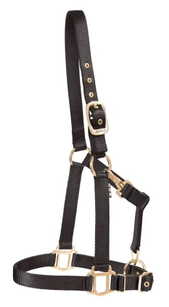 ZEETA INTERNATIONAL DS Heavy Nylon Halter Best