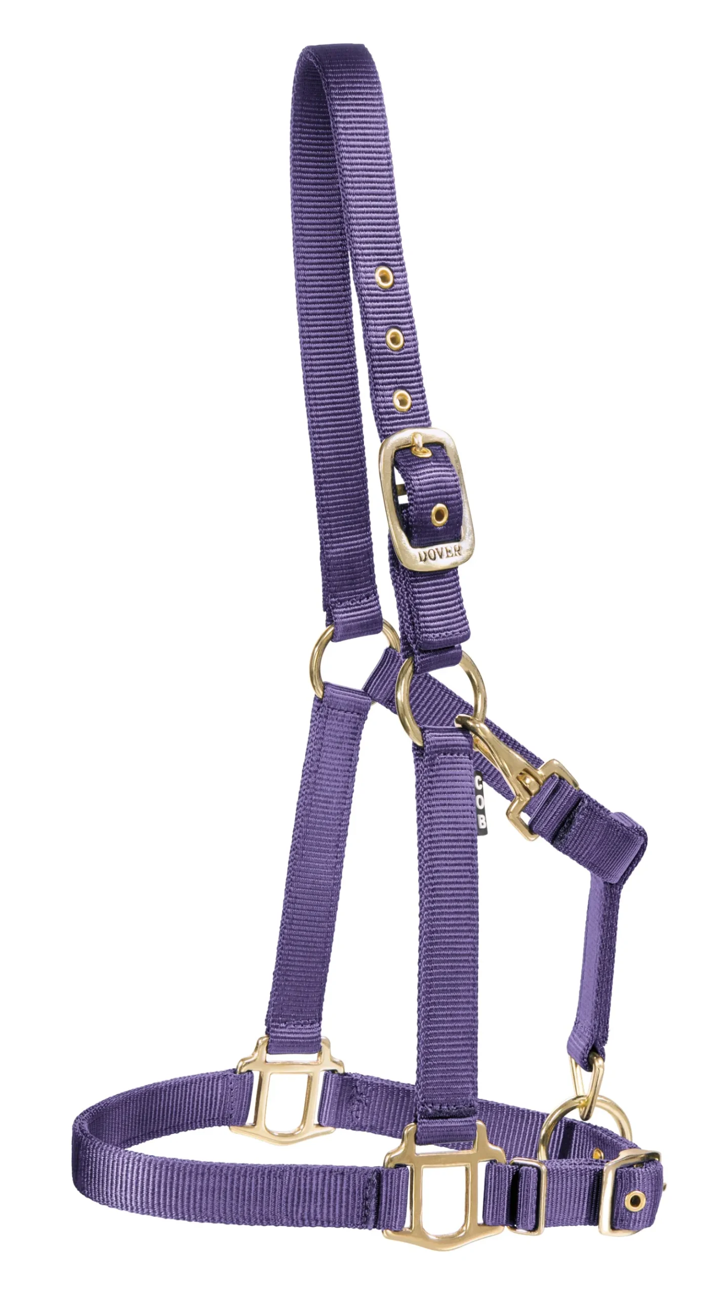 ZEETA INTERNATIONAL DS Heavy Nylon Halter Best