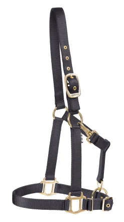 ZEETA INTERNATIONAL DS Heavy Nylon Halter Best