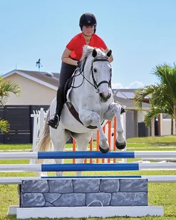 KIRSCH DS Ladies’ Iva Short Sleeve Polo Shirt New