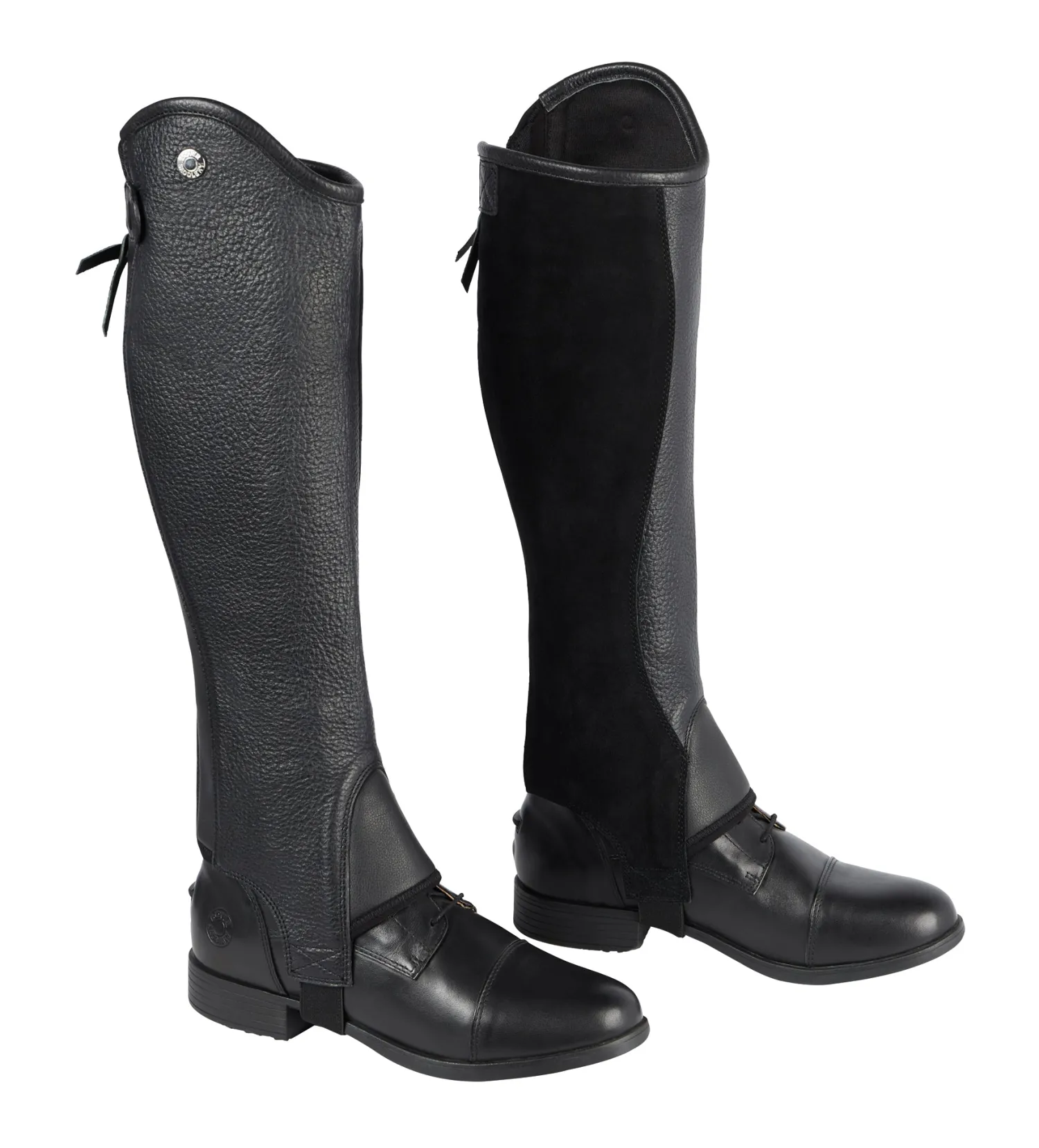 TEXT HORSE DS Ladies’ Stay Tight Leather Half Chaps Sale