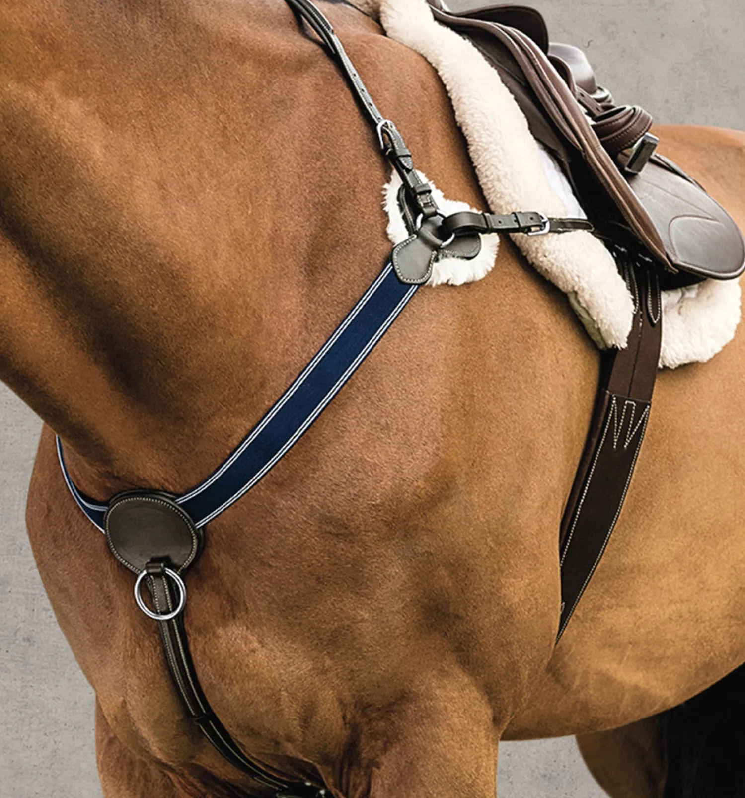 KINGS INTERNATIONAL DS 3-Point Breastplate Brown Online