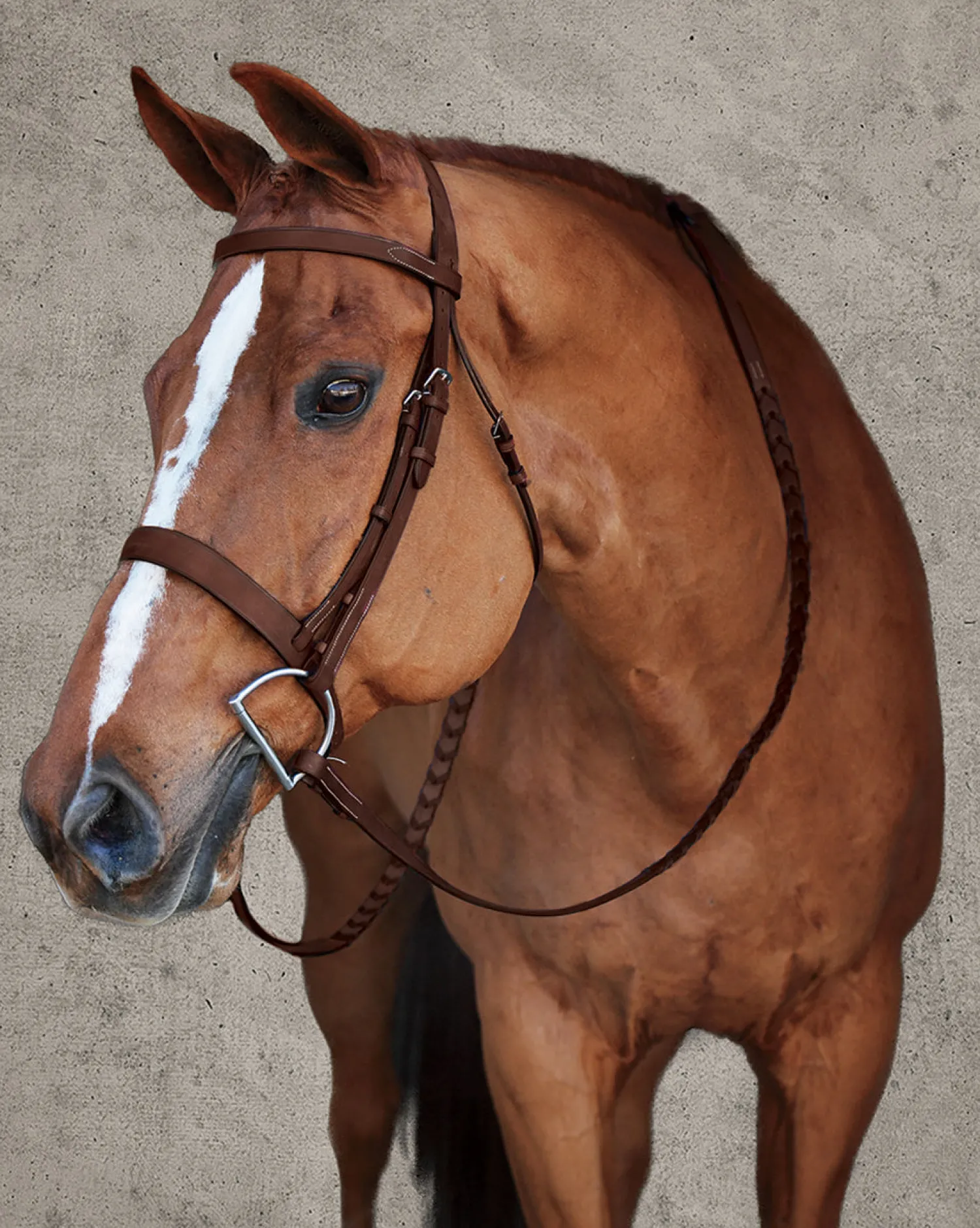 HARMOHN KRAFT DS Premier Hunt Bridle Oakbark Online