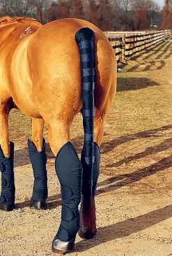 KING YOUNG DS Pro Padded Tail Wrap & Bag Combo Sale