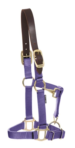 ZEETA INTERNATIONAL DS Heavy Nylon Breakaway Halter Best