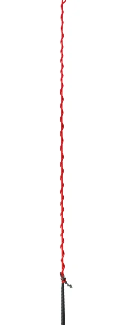 WEATHERBEETA Dublin® Nylon Lunge Whip