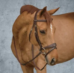 KENTUCKY HORSEWEAR Dy'on® Anatomic Bridle Brown Online