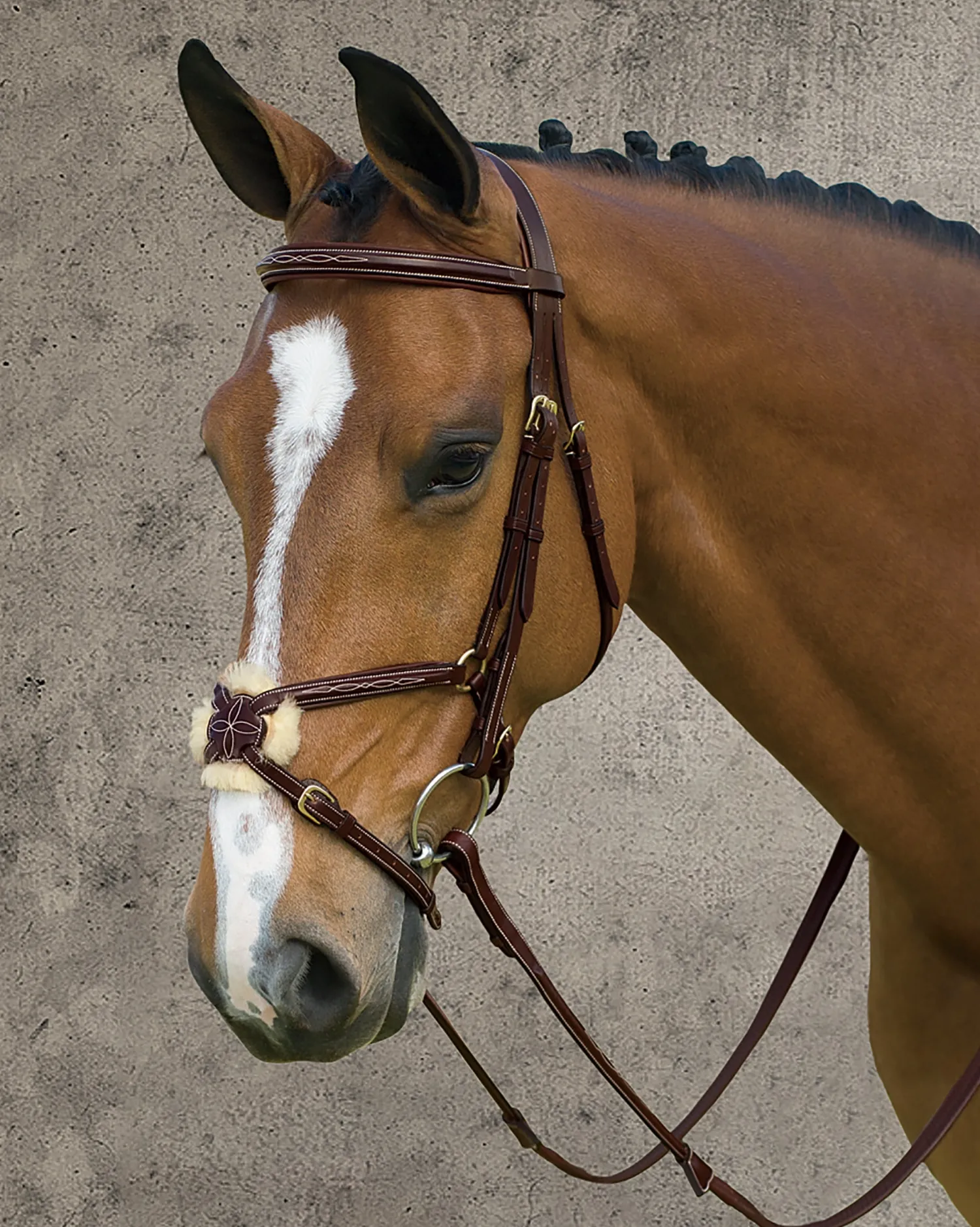 KENTUCKY HORSEWEAR Dy'on® Figure-8 Bridle Brown Hot