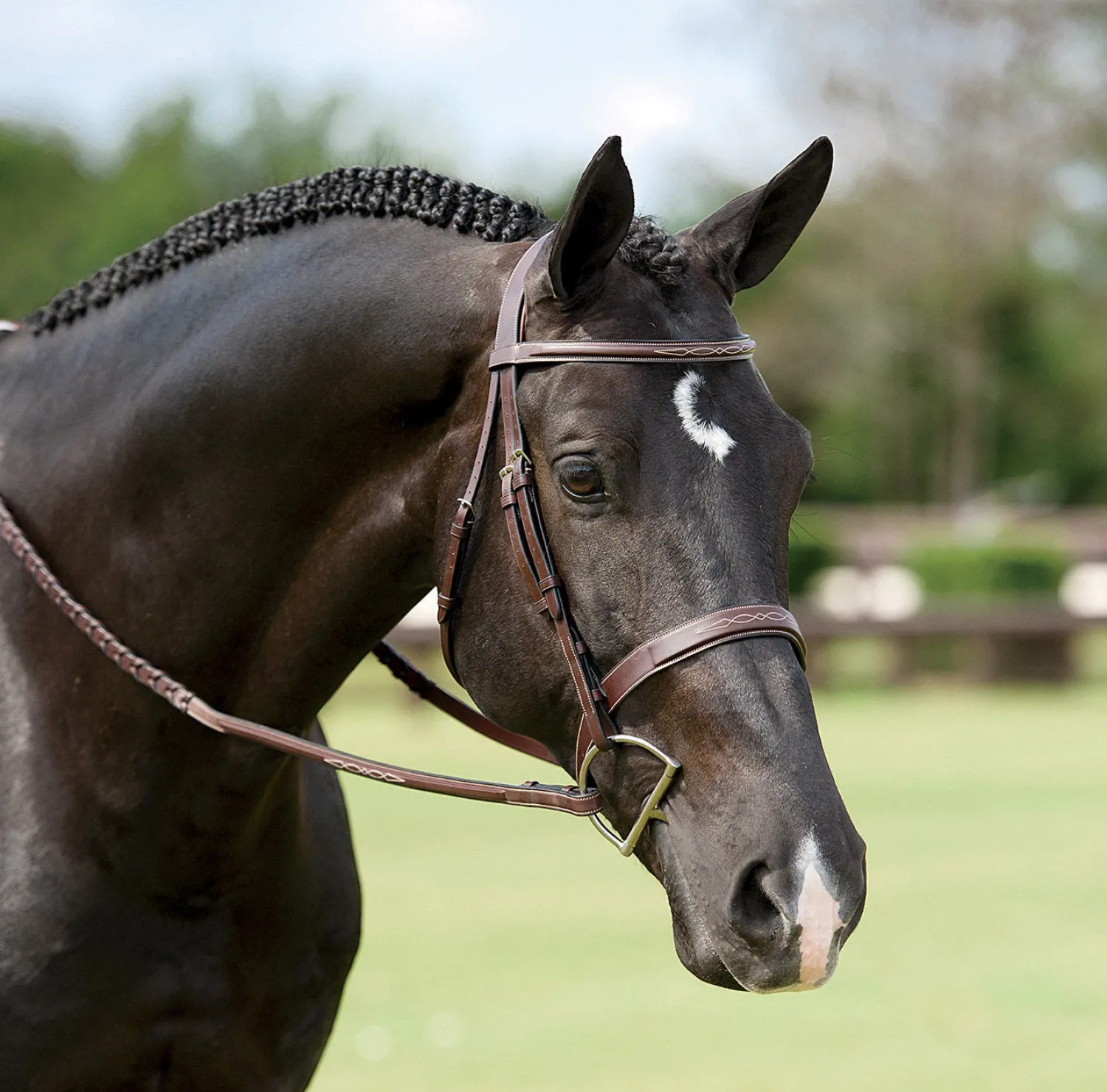 DY ON Dy'on® Wide Nose Hunter Bridle Brown Online