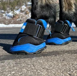 EASYCARE Easyboot Rx2 Black Discount