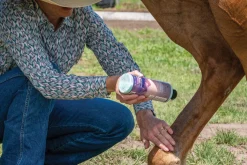 ANIMAL HEALTH INT Equiderma® Skin Lotion Hot