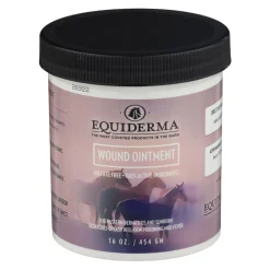 ANIMAL HEALTH INT Equiderma® Wound Ointment Outlet