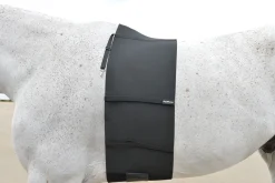 EQUIFIT ® BellyBand™ Black Clearance