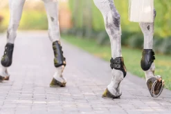 EQUIFIT ® Eq-Teq™ Hind Boots Black Outlet