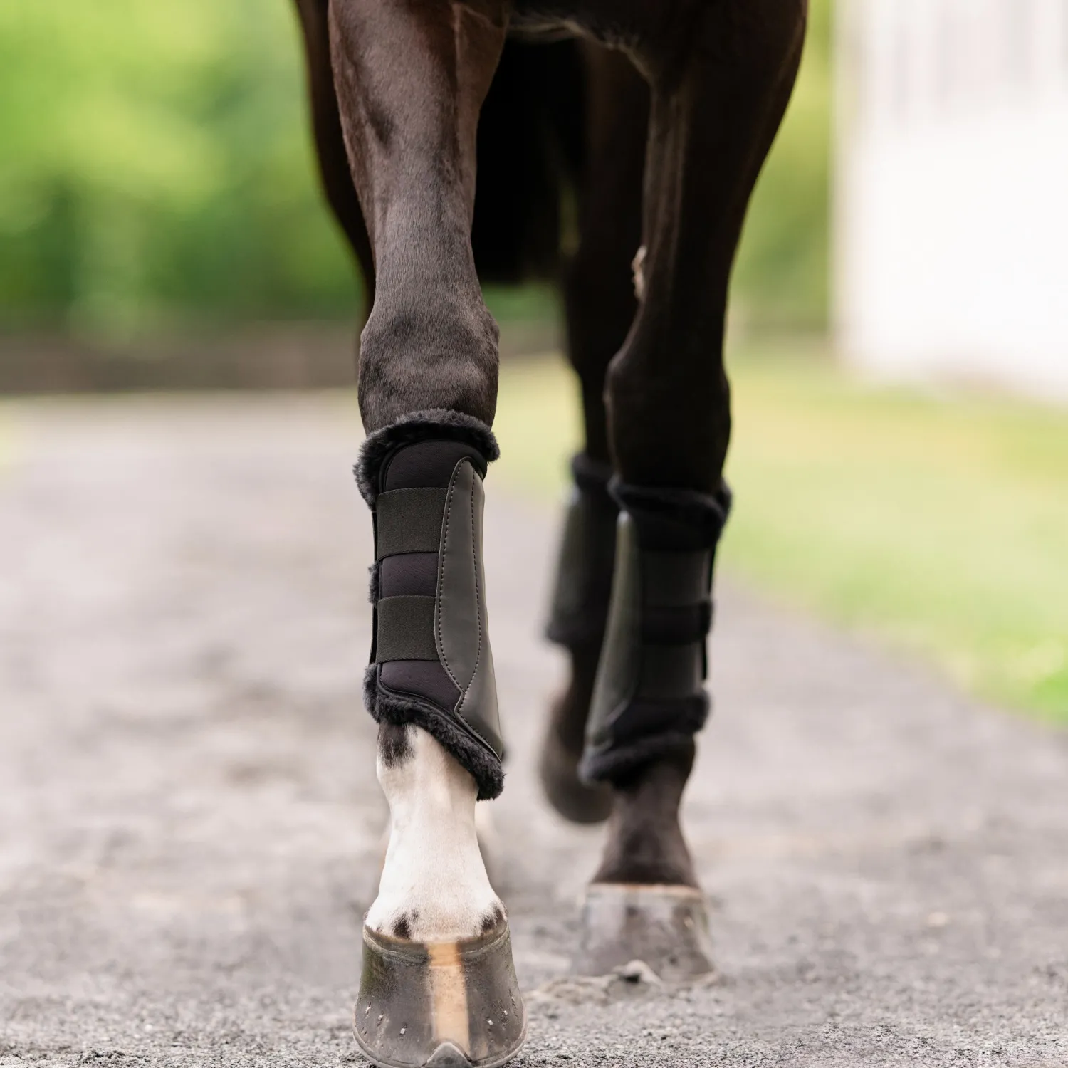 EQUIFIT ® Essential EveryDay™ Front Boots, Vegan SheepsWool™ Online