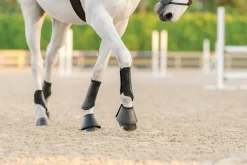 EQUIFIT ® Essential EveryDay Front Boot Online
