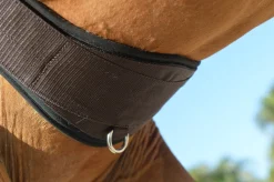 EQUIFIT ® Essential Schooling Girth with SheepsWool™ Liner Brown/Black Hot