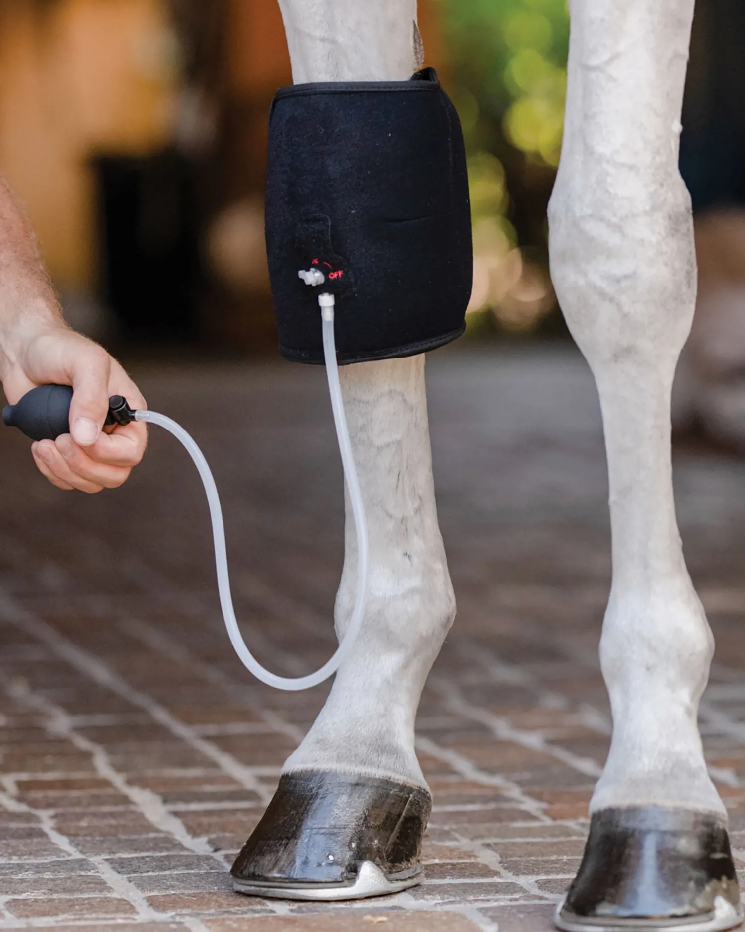 EQUIFIT ® GelCompression KneeBoots™ Black Online