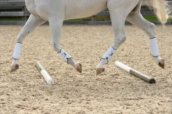 EQUIFIT ® MultiTeq SheepsWool Tall Hind Boots Hot