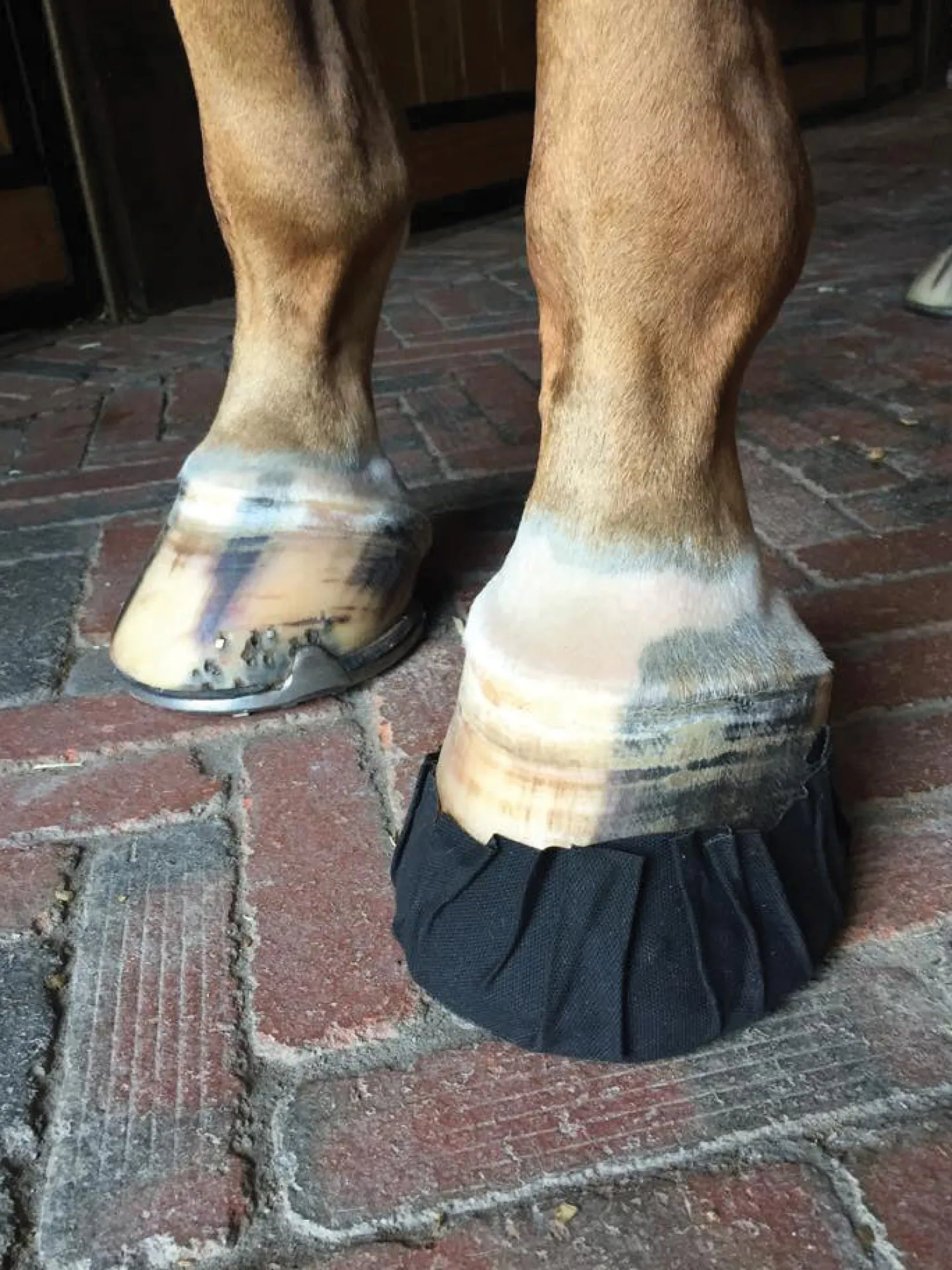 EQUIFIT ® Pack-N-Stick HoofTape - 6 pack Black Best