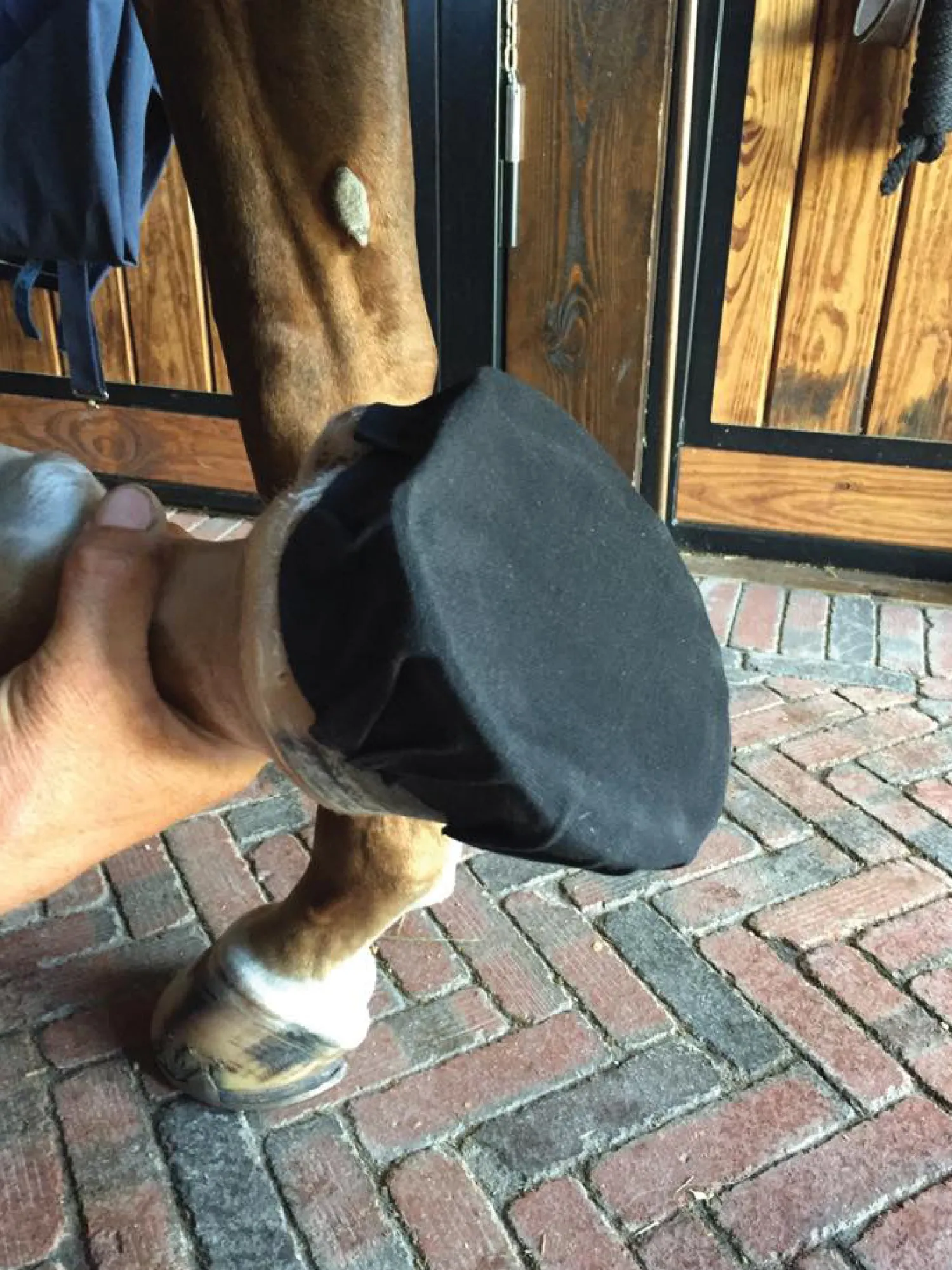 EQUIFIT ® Pack-N-Stick HoofTape - 6 pack Black Best