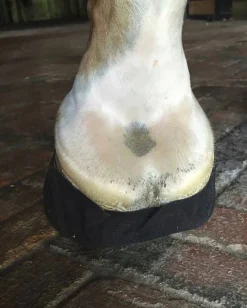 EQUIFIT ® Pack-N-Stick HoofTape Black Hot