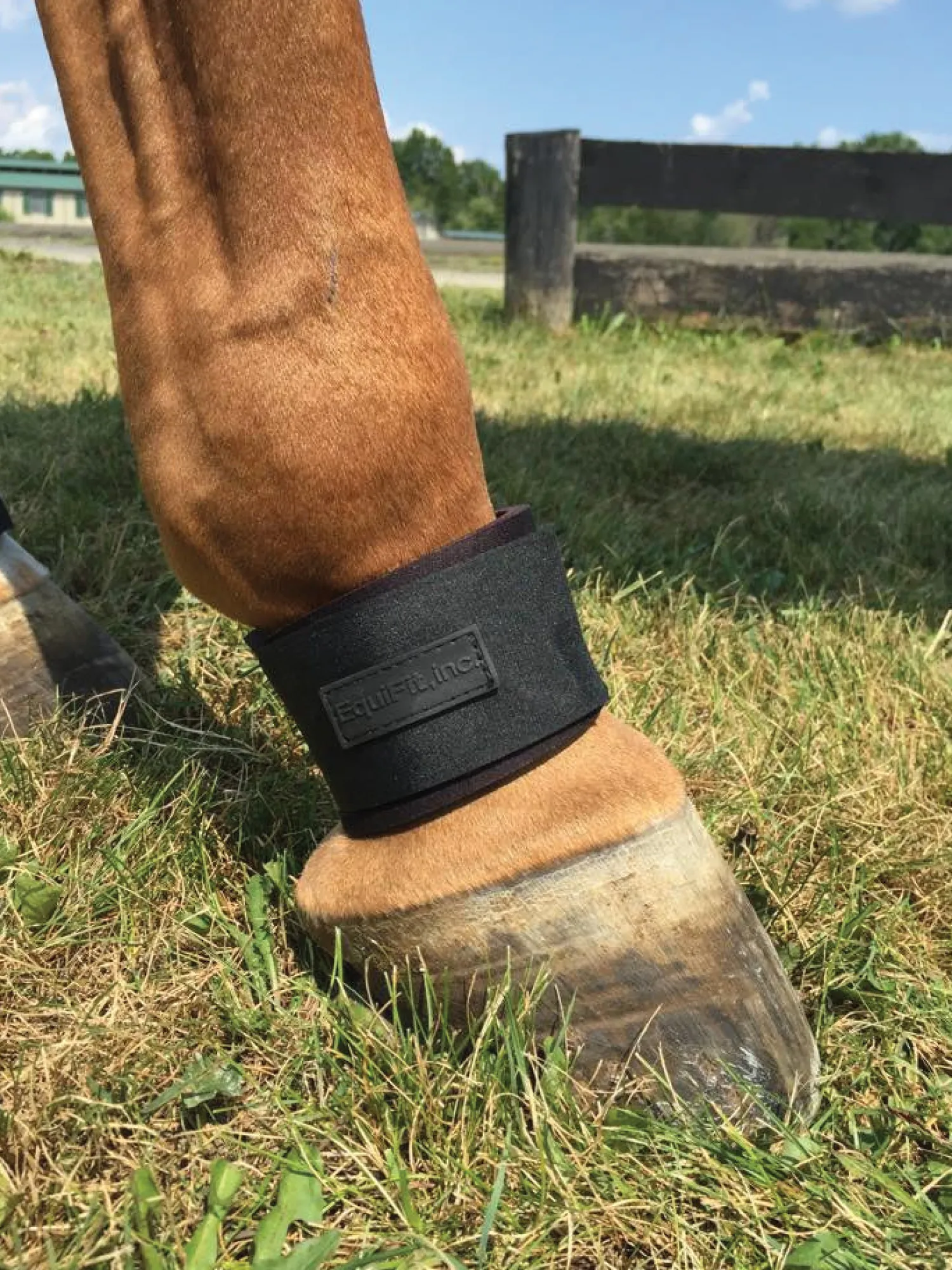 EQUIFIT ® Pastern Wrap Black Best