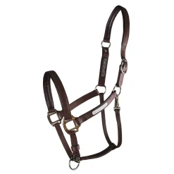 WORLD EQUSTRN BRNDS Equilibrium Stellar All-Weather Breakaway Halter New