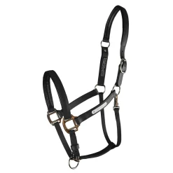 WORLD EQUSTRN BRNDS Equilibrium Stellar All-Weather Breakaway Halter New