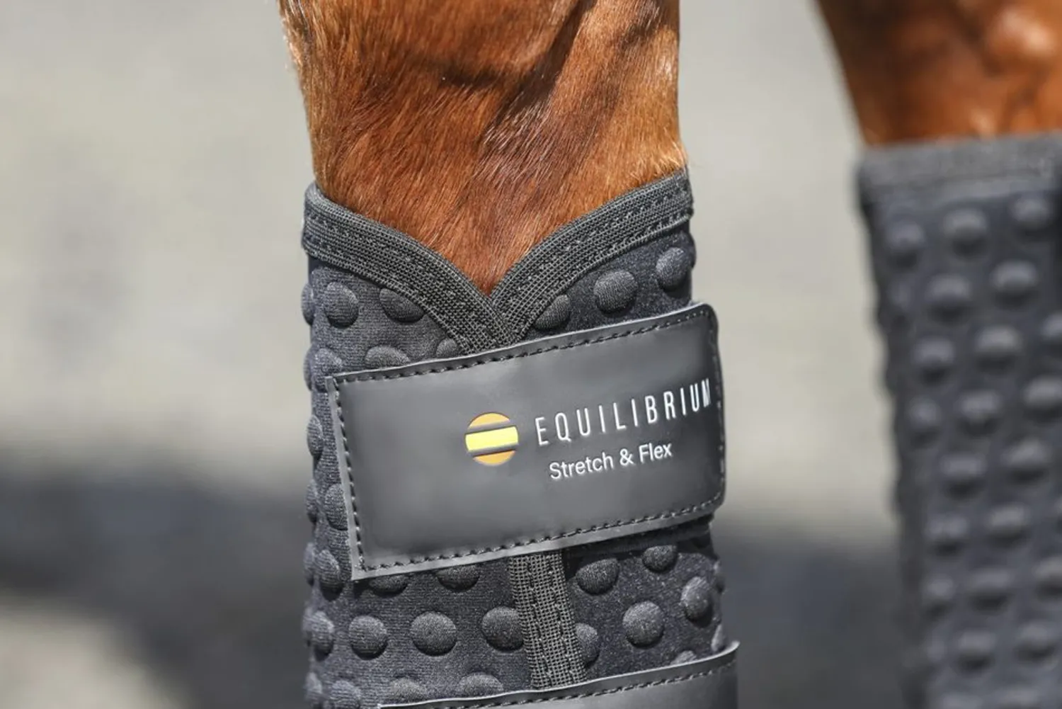 WORLD EQUSTRN BRNDS Equilibrium Stretch & Flex Flatwork Wraps New
