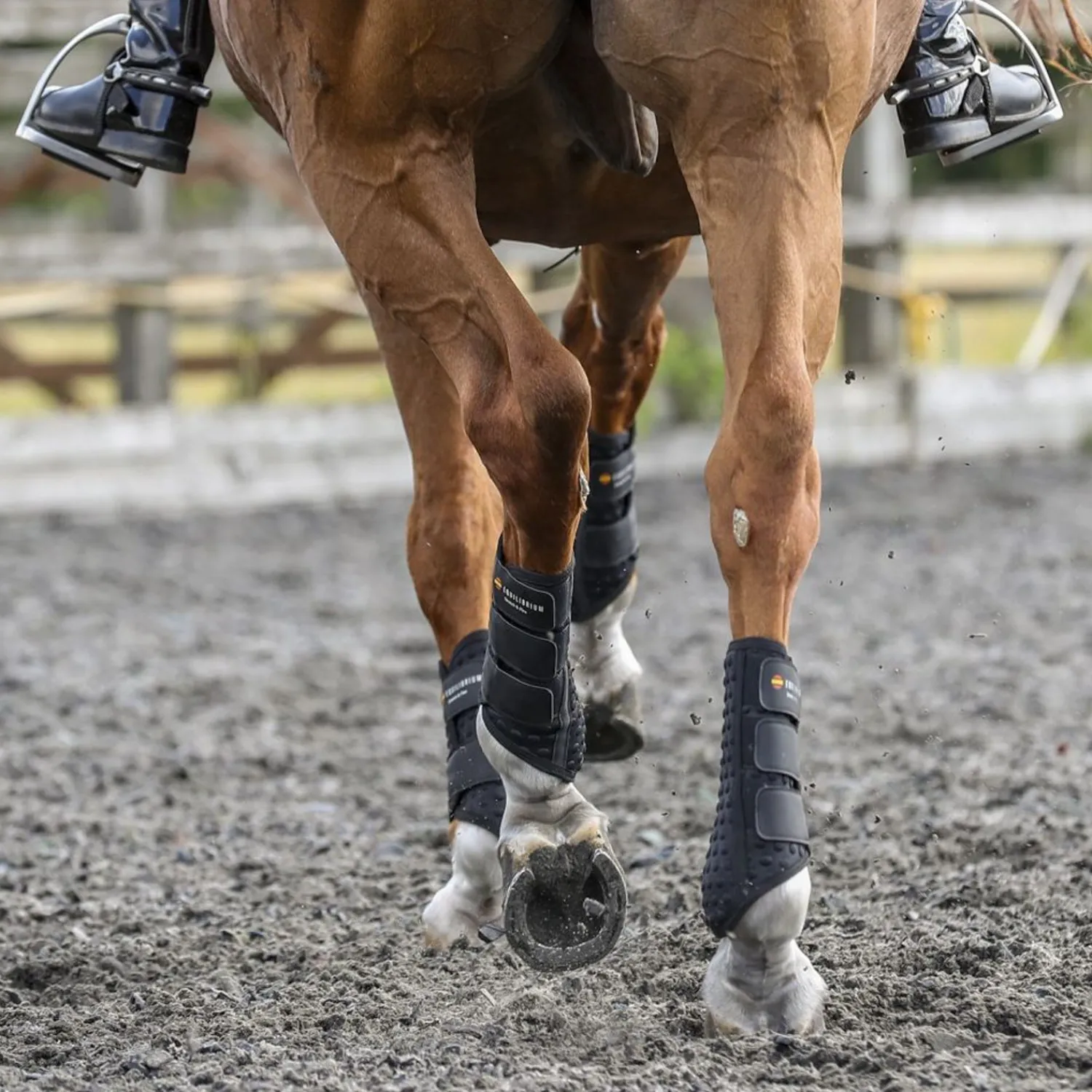 WORLD EQUSTRN BRNDS Equilibrium Stretch & Flex Flatwork Wraps New