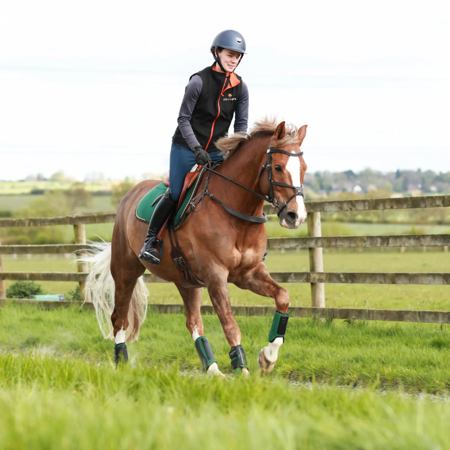 WORLD EQUSTRN BRNDS Equilibrium Tri-Zone Impact Front Boots Best