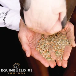 EQUINE ELIXIRS INC Equine Elixirs Immunox® Online