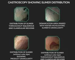 EQUINE ELIXIRS INC Equine Elixirs Slimer Liquid Gastric Support Outlet