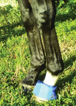 EZ ICE Hoof - Founder Pack Blue New