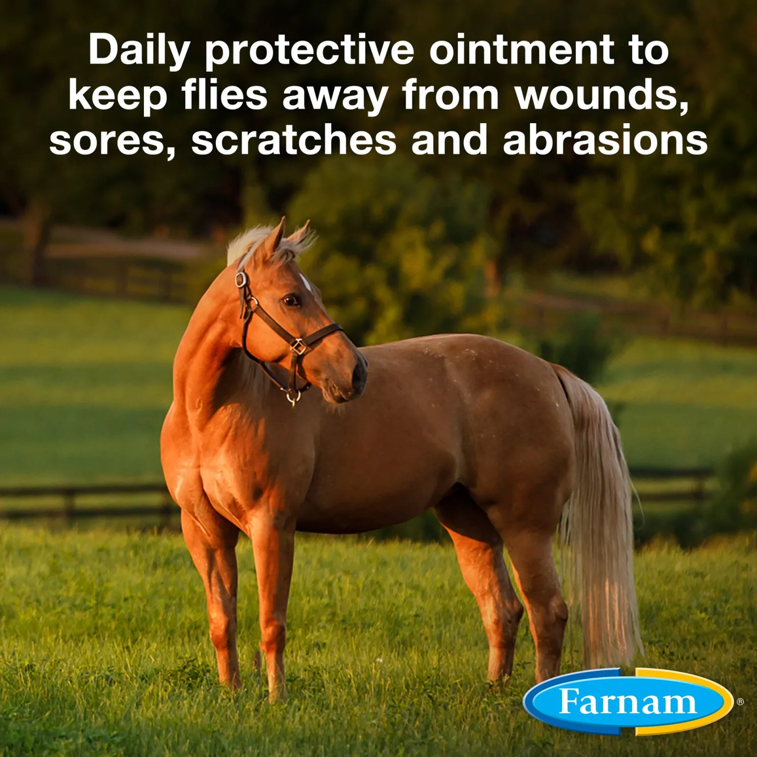 ANIMAL HEALTH INT Farnam® Swat® Clear Fly Repellent Ointment Online