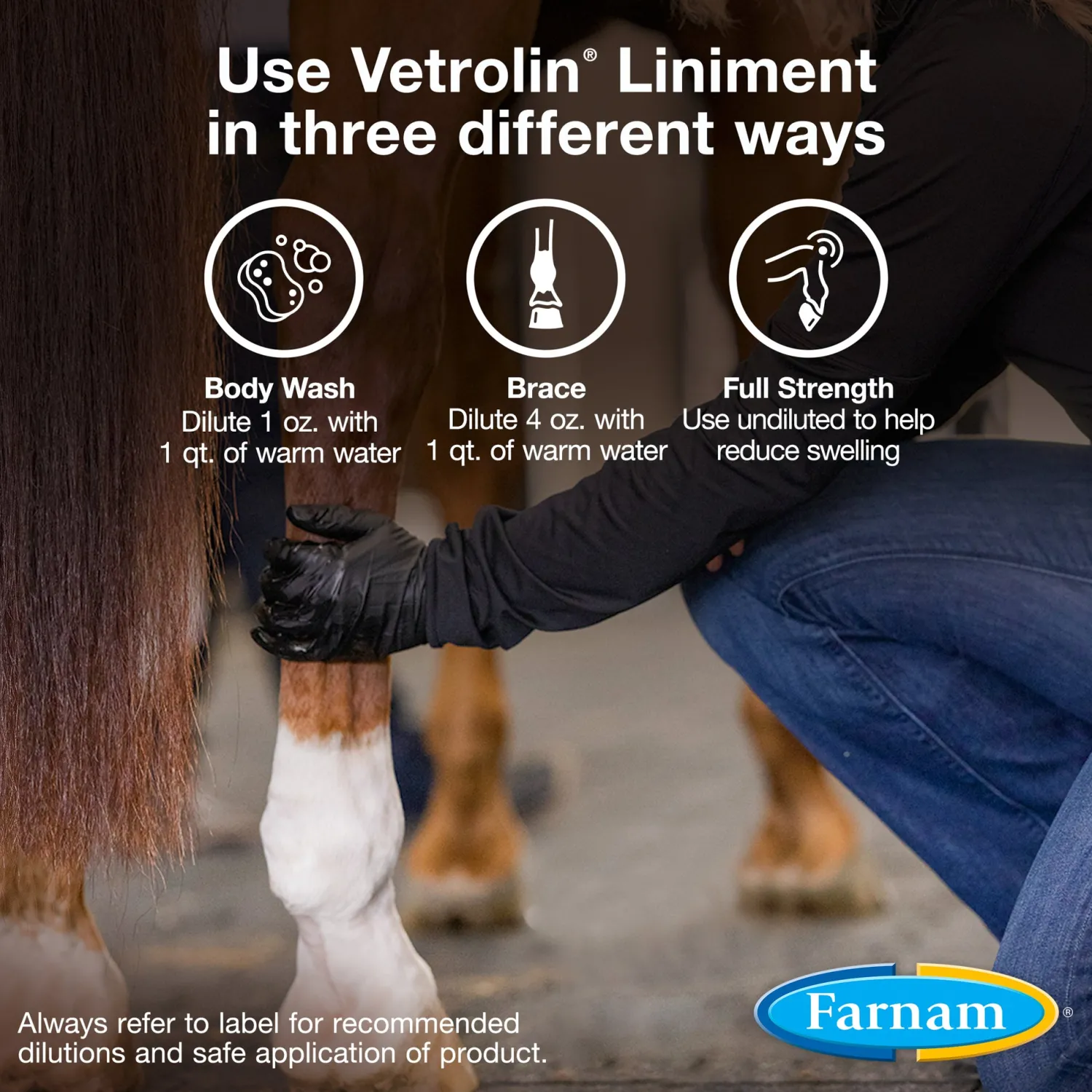 ANIMAL HEALTH INT Farnam® Vetrolin® Liniment Outlet
