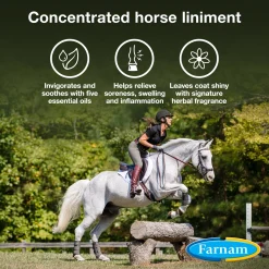 ANIMAL HEALTH INT Farnam® Vetrolin® Liniment Best