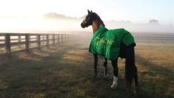 FARRIERS FIX Farriers' Fix Online