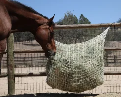 KENSINGTON Freedom Feeder Extended Day Net Tan Sale