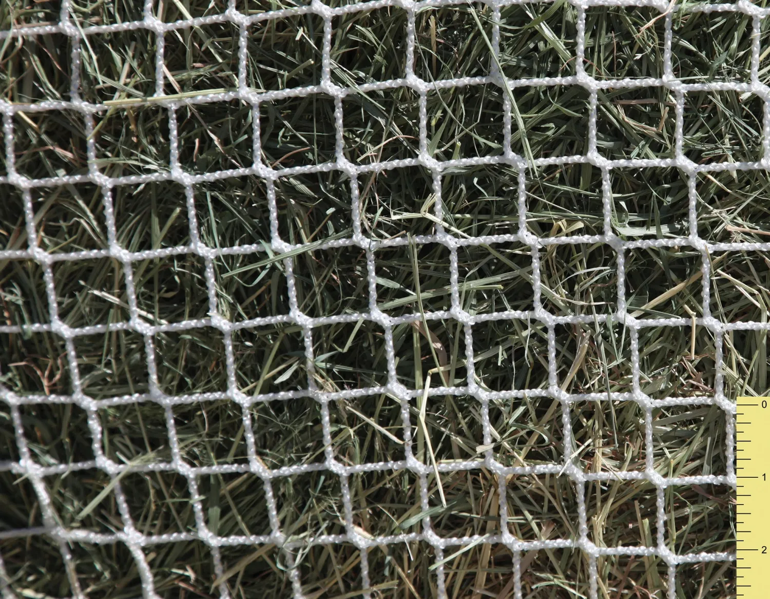 KENSINGTON Freedom Feeder® Extended Day Net - 1" Sale