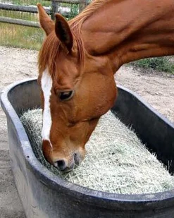 KENSINGTON Freedom Feeder Full Bale Net Tan Clearance