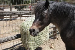 KENSINGTON Freedom Feeder® Trailer Size Sale