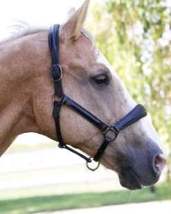 HALTER EGO ® Doc Marten Padded Halter Black Best