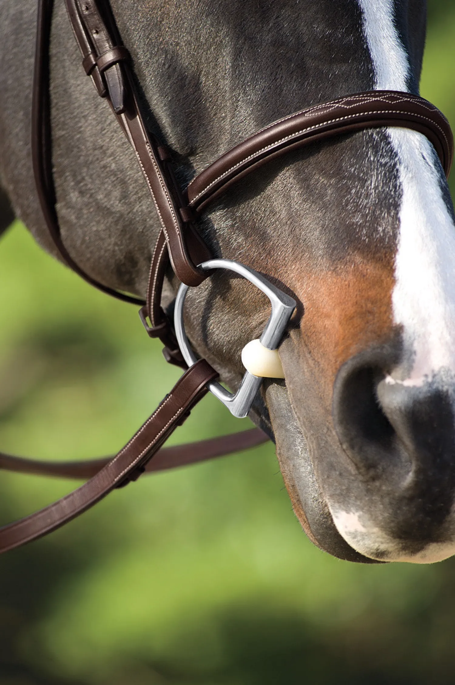 ERS Happy Mouth Bits® Jointed King Hunter D-Ring Pro Bit Hot